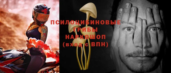 кокс Аркадак